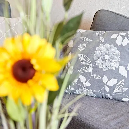 Casa Alta Torrevieja