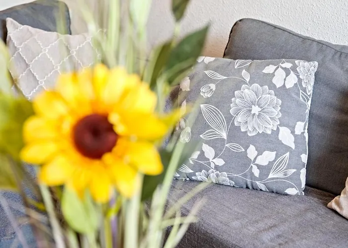 Casa Alta Torrevieja